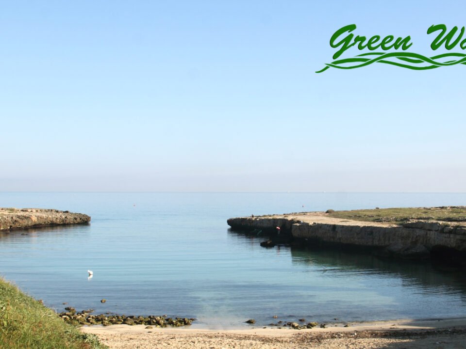 Cosa vedere a Monopoli