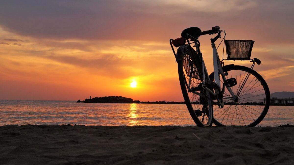 bike sharing monopoli
