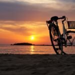 bike sharing monopoli